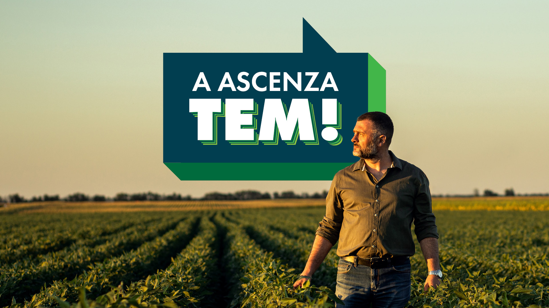 Ascenza-1080px-img17