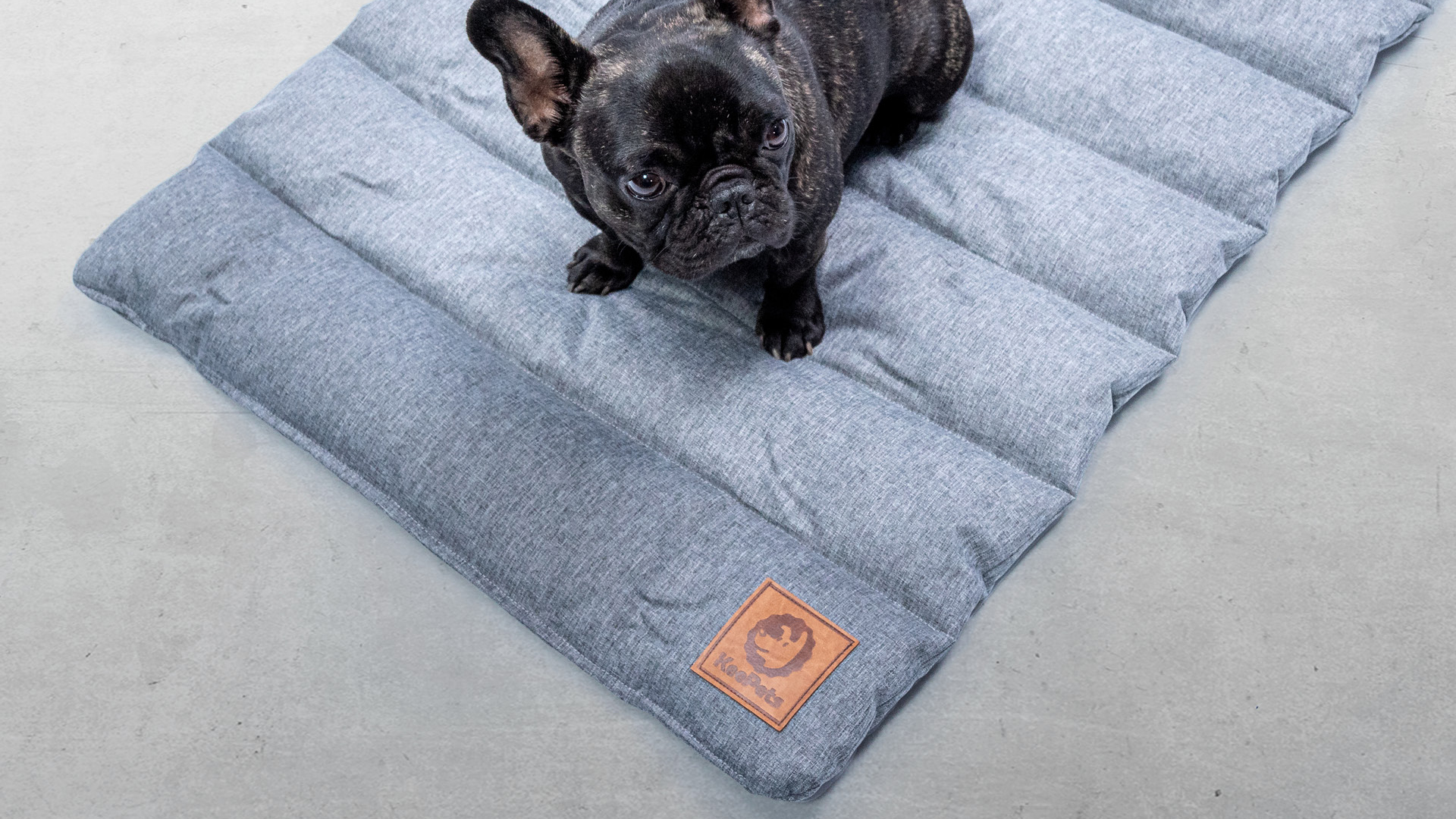 KeePets-1080px-img8